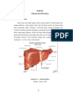 266455001-sirosis-hepatis.doc