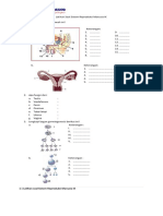Latihan Soal Sistem Reproduksi Manusia IX PDF