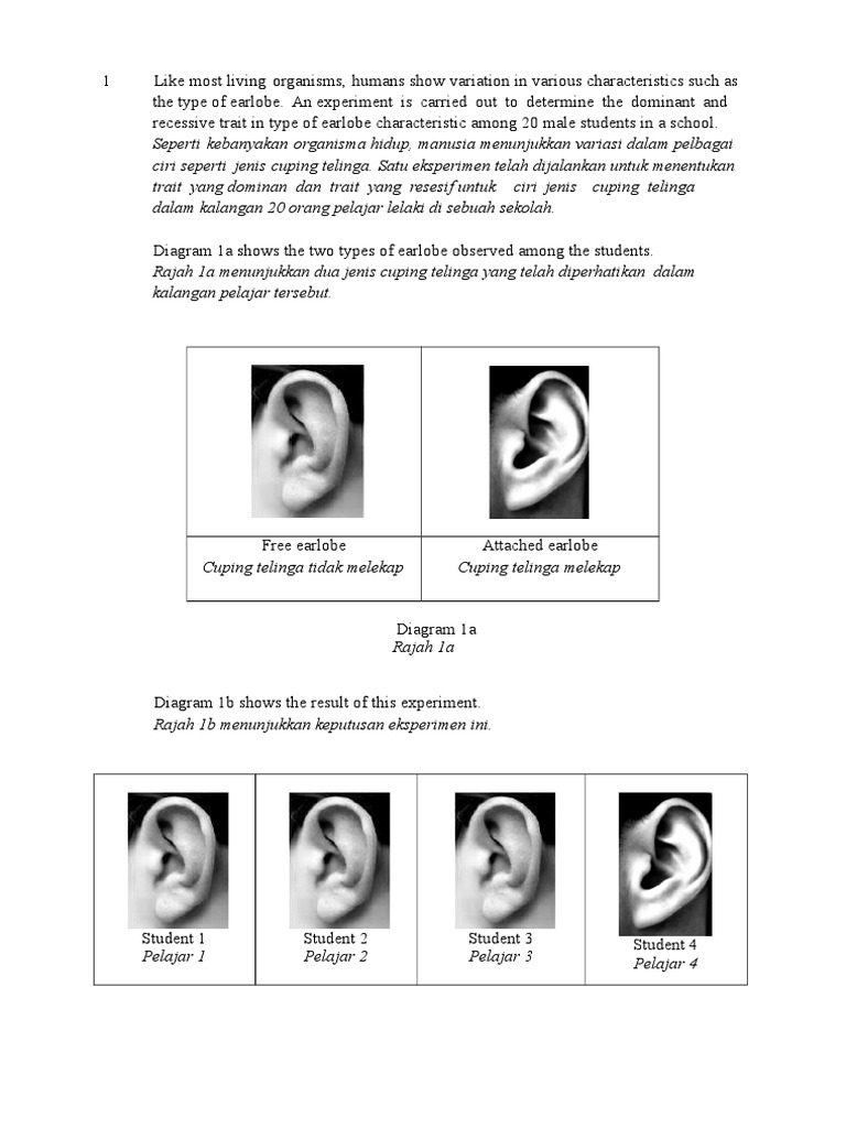 Soalan Paper 3 Utk Mesyuarat Panitia Daerah Pdf