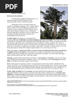 Antipolo Tree: Uses and Characteristics | PDF | Trees | Wood
