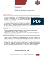 Informe de Tajo Abierto 01