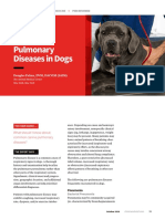 ASK_Common Pulmonary Diseases in Dogs
