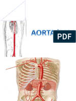 Patologias Ivc Aorta