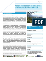 Valoracion Economica Impactos Ambientales PDF