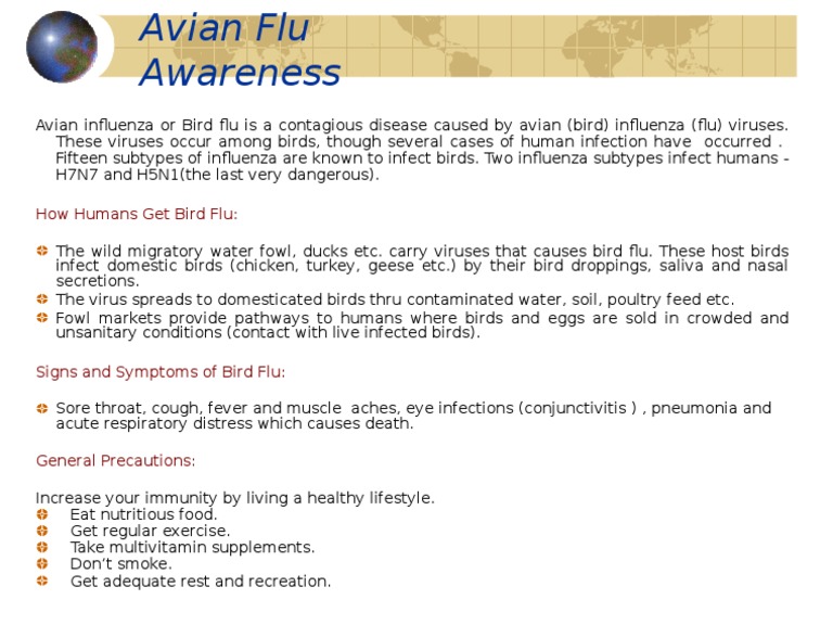 Understanding Avian Flu Risks and Prevention | PDF