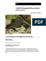 Pterygoplichthys Pardalis WEB 8-29-12