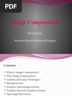 Image Compression: Presented by Nermine Salama & Mohamed Hagras