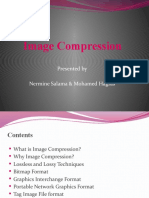 Image Compression: Presented by Nermine Salama & Mohamed Hagras