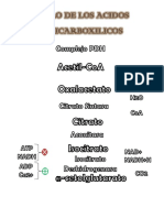 Ciclo de Krebs