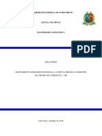 Relátorio Mapeamento Turmalina PDF