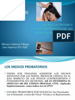 MEDIOS_DE_PRUEBA_Y_REALIDAD_PRACTICA (1).pptx