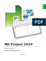 Manual de Ms Project