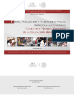 Perfil INGRESO EMS PDF