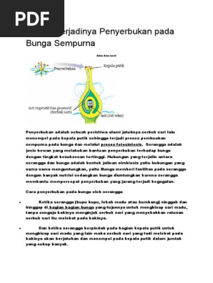 Proses Terjadinya Penyerbukan Pada Bunga Sempurna