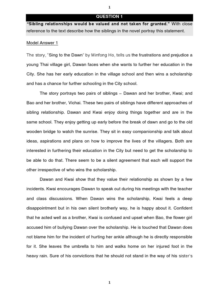Model Essay Sing To The Dawn Pdf Sibling
