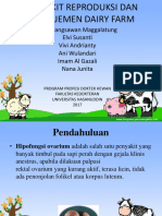 PPT