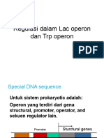 Regulasi Dalam Lac Operon Dan TRP Operon