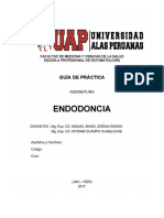 Guia Endodoncia 2017 Fase 1