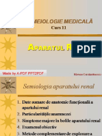 Curs 11 - Aparatul Renal PDF