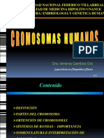 Cromosomas Unfv 2017 PDF