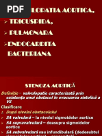 Valvulopatie Aortica Curs Si End