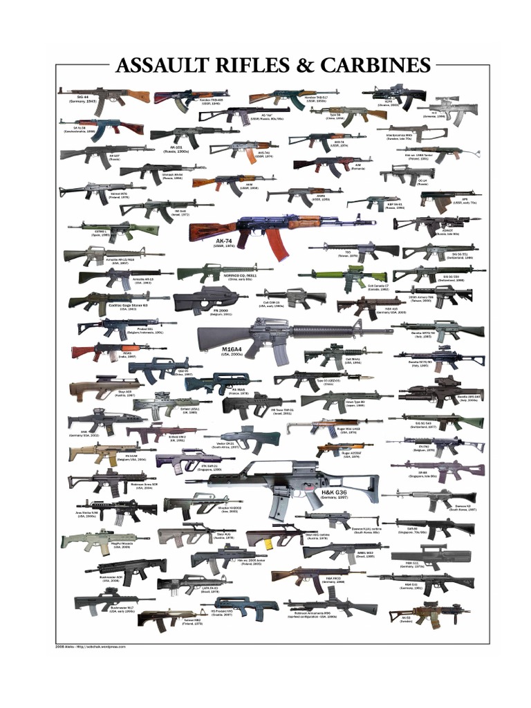 Infographic Assault Rifles & Carbines | PDF