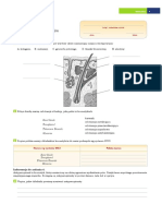 Karta Pracy 1 Skladniki Kosmetykow PDF