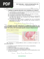 2.1-Ficha-de-Trabalho-–-Reprodução-humana-1.pdf