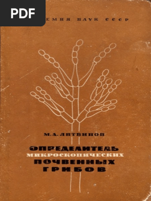 Marг­a del mar instagram