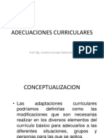 Adecuaciones Curriculares