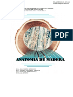 Anatomia de La Madera