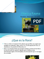 Flora y Fauna