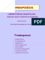 Trombopoiesis