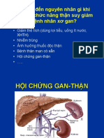 12-PGS Hoàng Hội Chứng Gan Thận