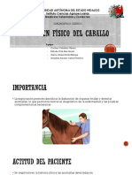 Examen Físico del caballo