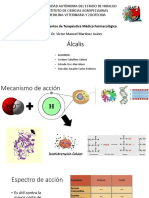 Presentación Álcalis