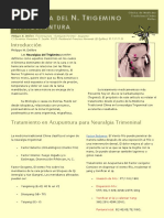 Nueralgia-trigemino-acupuntura.pdf