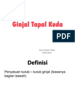 Ginjal Tapal Kuda