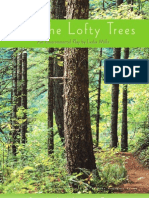 Save The Lofty Trees