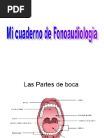 Mi Cuaderno de Fonoaudiologia Paulina de La Fuente º1