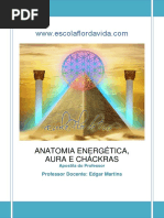 02-ANATOMIA-ENERGÉTICA-AURA-E-CHÁCKRAS.pdf