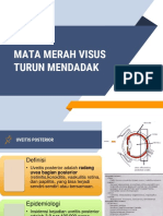 Mata Merah Visus Turun