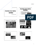 ANATOMIA DENTES DECIDUOS.pdf
