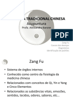 acupuntura_mtc_02.pdf