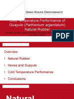 Cold Temperature Performance of Guayule