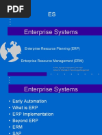 Enterprise Systems: Enterprise Resource Planning (ERP)