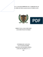 Árbol de Neem PDF