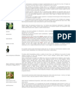 Enciclopedia Del Vino PDF