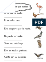 Animales Que Vuelan Comprensión Lectora Frases PDF