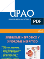 Sindrome Nefrotico